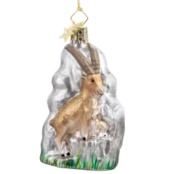 Alpine Ibex