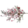 Branch With Frosted Red Berries And Pine Cones