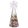Dreamlight "Frozen Nature" - Angel Medium