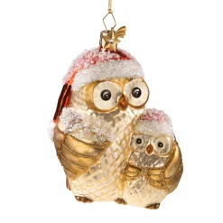 Mother Owl With Child