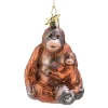 Orangutan