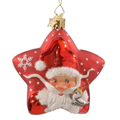 Portrait Star Santa
