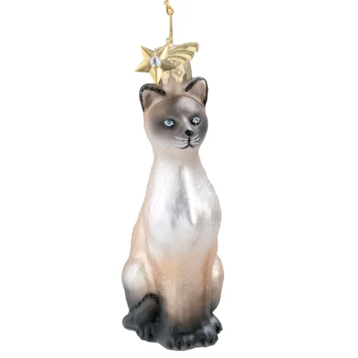Siamese Cat