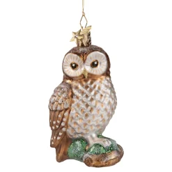 Tawny Owl On Branch