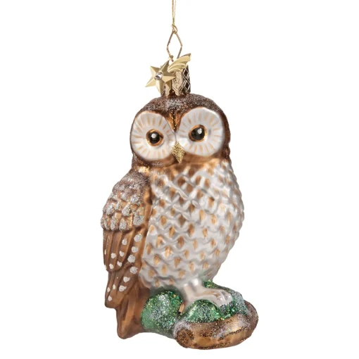 Tawny Owl On Branch