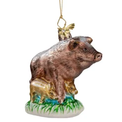 Wild Boar Family